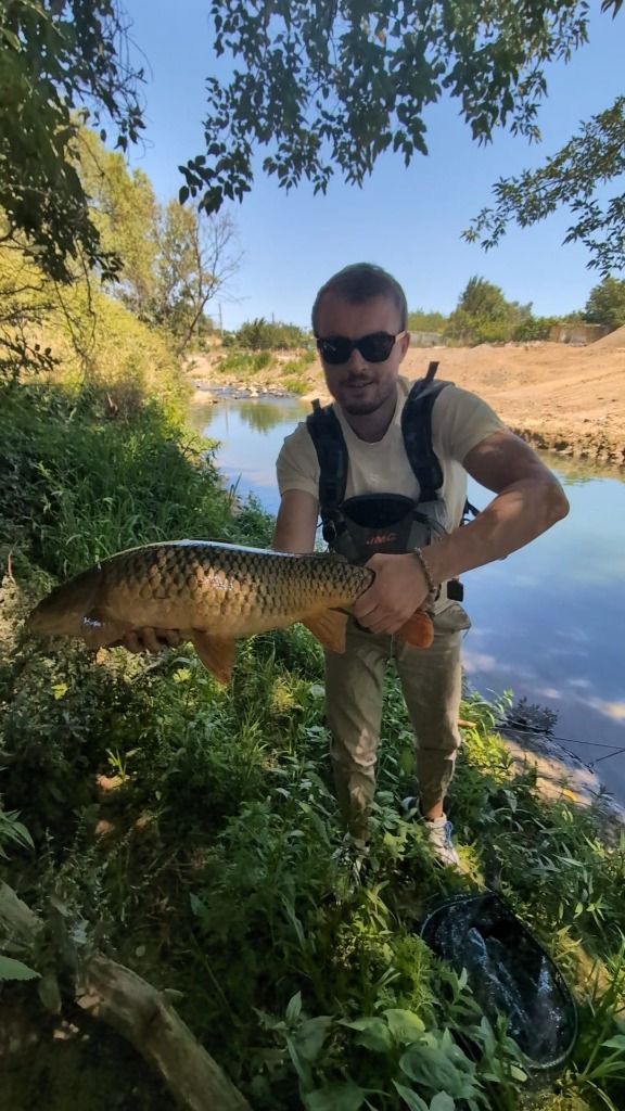 Un carpe prie à la mouche