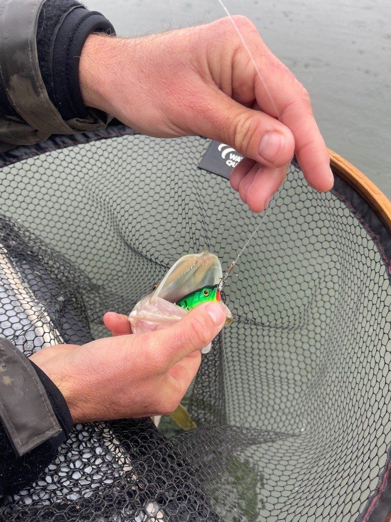 Un Brochet pris avec leurre flottant