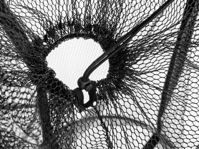 BOURRICHE POUR DES VIFXS BAITPOOL DELPHIN