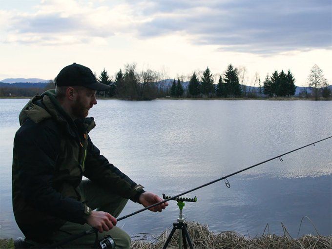 CANNE AERIS FEEDER DELPHIN