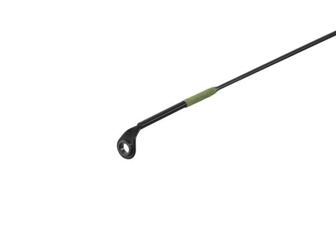 CANNE REACTION DELPHIN