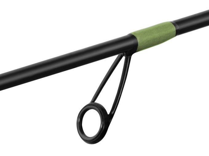 CANNE REACTION DELPHIN