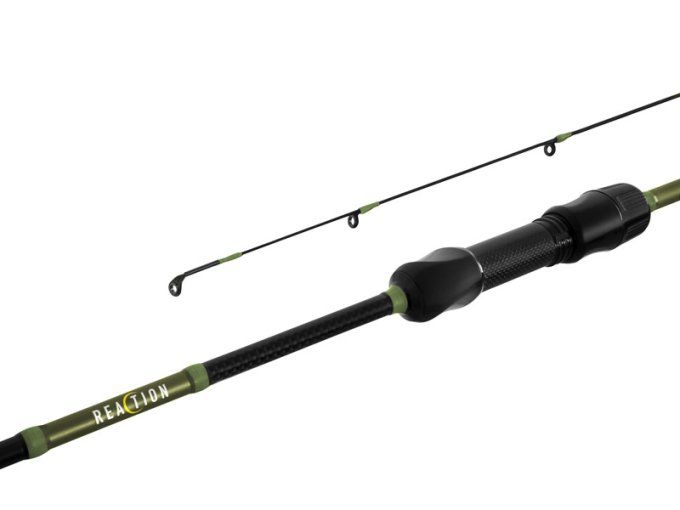 CANNE REACTION DELPHIN