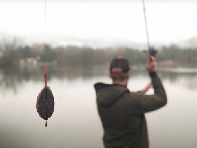  MOULE METHOD QUIS FEEDER DELPHIN