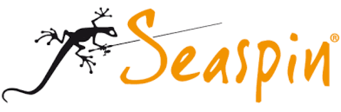 LEURRES BUGINU SEASPIN