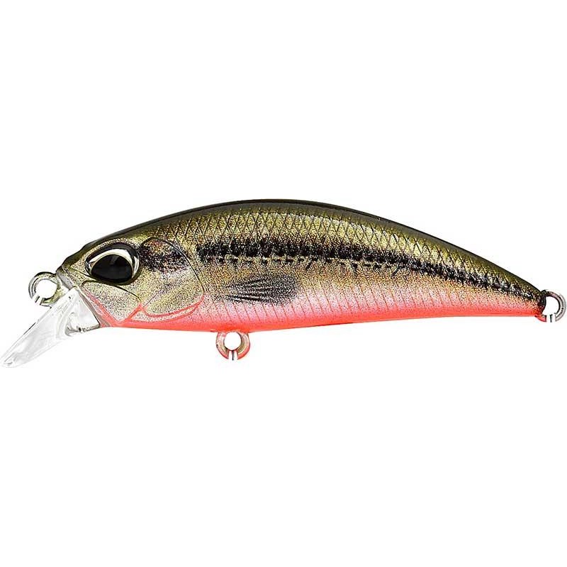 Poisson nageur
