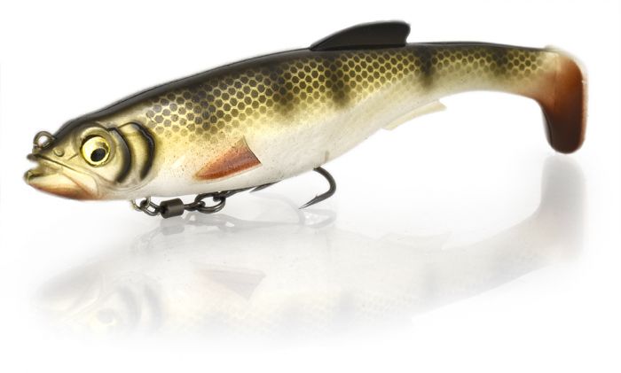 Brochet